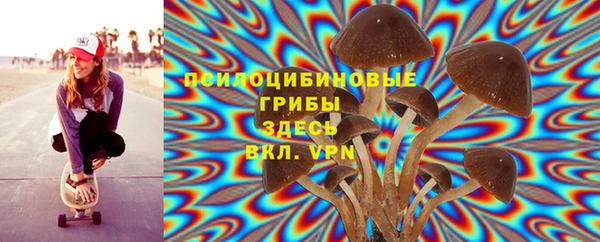 дмт Зерноград