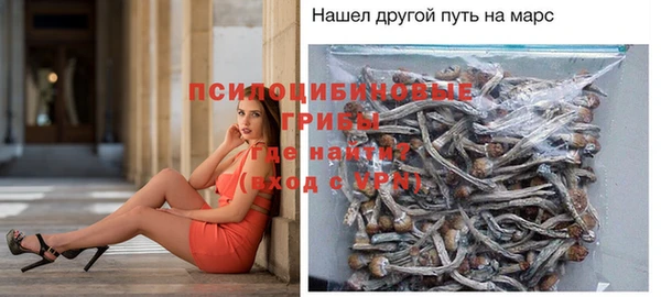 дмт Зерноград