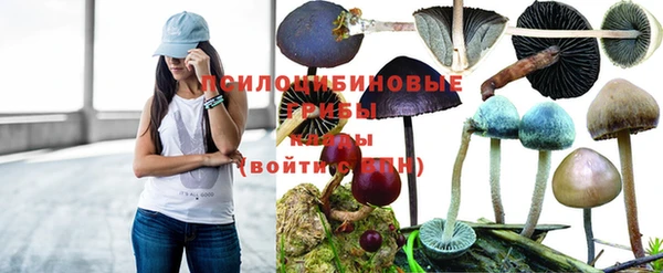 МДМА Зеленокумск