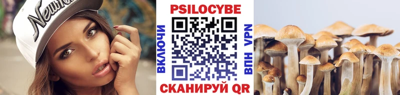 Купить Нытва Галлюциногенные грибы Psilocybe